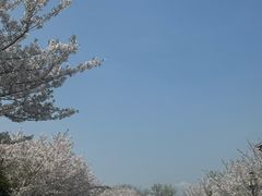 -湘湖金融镇