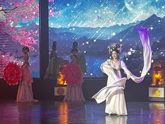 -金东尼人妖秀