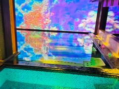 -浅深(北京北四环精品店)