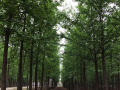 -汉景帝阳陵博物院