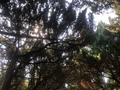 -南岳衡山风景名胜区-南岳大庙