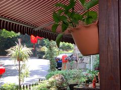 -国生茶庄·地道农家菜团建活动