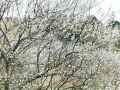 -福建天门山