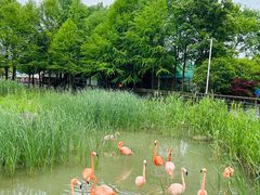 -上方山森林动物世界