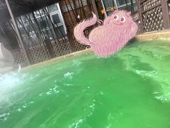 -春晖园度假酒店温泉