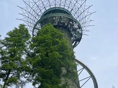 -黄海国家森林公园