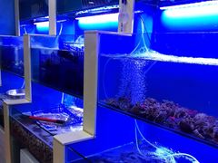 水产区-老虎滩大连海鲜烧烤(建邺云锦路总店)