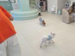 -怪兽屋·羊驼·猫咖·狗咖(俊华广场店)