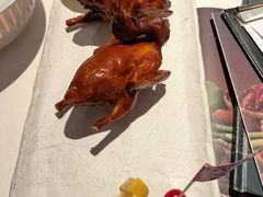 -侨美食家·40年地道粤菜(珠江新城店)