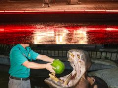 -济南野生动物世界