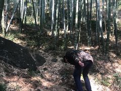 -山沟沟景区