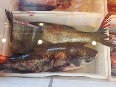 -江湖水乡铁锅炖魚(周庄嘉园店)