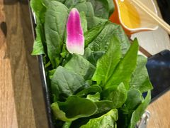 -刘一锅筋头巴脑(小北店)