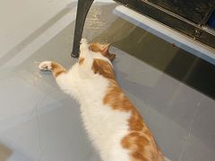 -臻鲜燕海鲜融合餐厅(金陵style店)