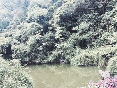 -杭州西湖风景名胜区-三生石