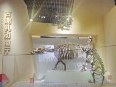 -国家自然博物馆