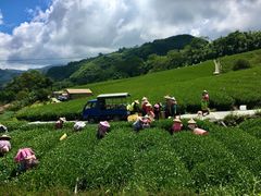 -优游吧斯邹族文化部落