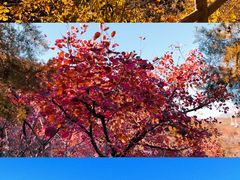 -周口店坡峰岭风景区