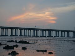 -宝安西湾红树林湿地公园