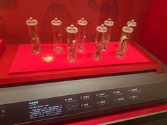 -北京大葆台遗址博物馆