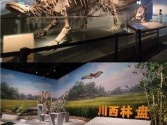 -四川大学博物馆