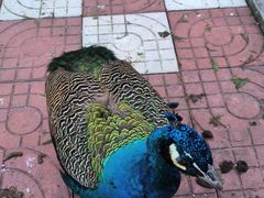 -南京金牛湖风景区