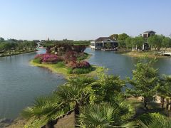 -上海鲜花港