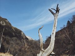 -叠溪松坪沟景区