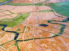 -南京市规划建设展览馆