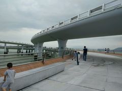 -演武大桥观景平台