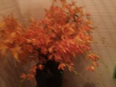 -Dragonfly悠庭·按摩Spa(静安嘉里中心店)