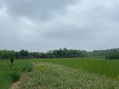-东郊湿地公园