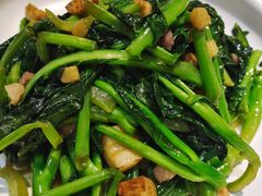 -朝郡酒家·粤菜(燕大星苑店)