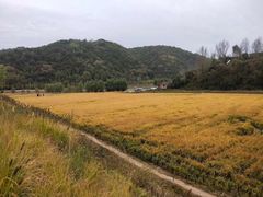 -南泥湾风景区