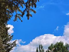 -黑龙江扎龙生态旅游区