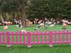 -上海野生动物园