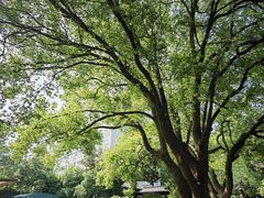 -杭州半山国家森林公园