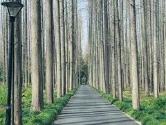-上海怡沁园度假酒店