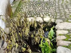 -前童古镇