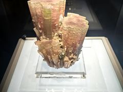 -安徽省地质博物馆