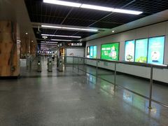 -芳村(地铁站)