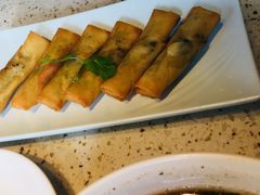 春卷-东园小馆·早茶·淮扬小炒(江都路店)