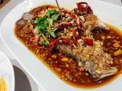 -杨氏青龙虾·羊蝎子(金盛路总店)