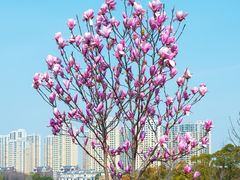 -白塘生态植物园