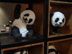 -晓鲜熊猫烤鱼烤吧(西三旗百汇北门店)