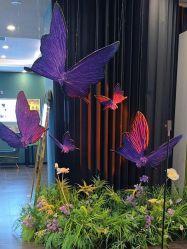 -苏州奥拉克美容医院