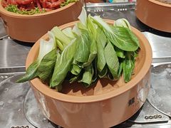 -龍歌自助小火锅(市北台东利群店)