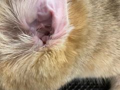 -comecome来吧宠物(奥克斯中心店)