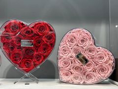 -ROSEONLY诺誓(广州K11店)