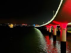 -演武大桥观景平台